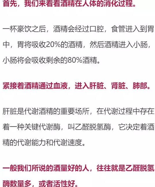 喝多少酒开车算酒驾？喝完酒多久能开车？这组数据，都说明白了